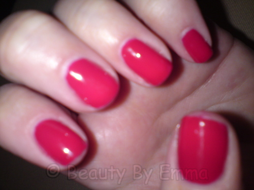 Shellac Wildfire - Day 1
